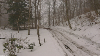 長野県菅平高原 ゆたか山荘 駐車場奥 2026/02/28 11:15