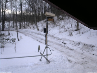 長野県菅平高原 ゆたか山荘 南側 2026/03/01 06:30