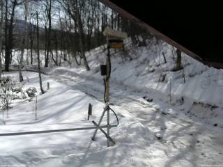 長野県菅平高原 ゆたか山荘 南側 2026/03/01 10:00