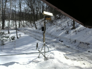 長野県菅平高原 ゆたか山荘 南側 2026/03/01 11:45