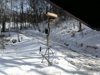 長野県菅平高原 ゆたか山荘 南側 2026/03/01 14:00
