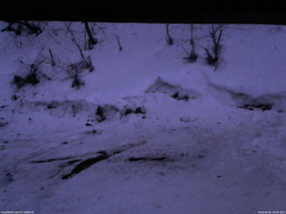 長野県菅平高原 ゆたか山荘 東側(坂下) 2026/03/01 18:00
