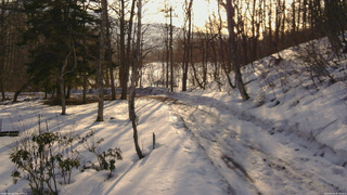長野県菅平高原 ゆたか山荘 駐車場奥 2026/03/01 07:30