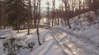 長野県菅平高原 ゆたか山荘 駐車場奥 2026/03/01 08:00