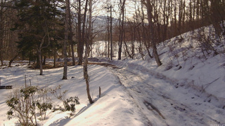 長野県菅平高原 ゆたか山荘 駐車場奥 2026/03/01 08:30