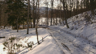 長野県菅平高原 ゆたか山荘 駐車場奥 2026/03/01 08:45