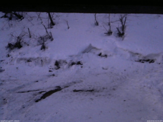 長野県菅平高原 ゆたか山荘 東側(坂下) 2026/03/02 06:00