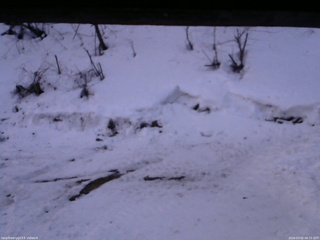 長野県菅平高原 ゆたか山荘 東側(坂下) 2026/03/02 06:15