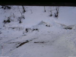 長野県菅平高原 ゆたか山荘 東側(坂下) 2026/03/02 06:30