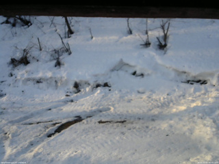 長野県菅平高原 ゆたか山荘 東側(坂下) 2026/03/02 06:45