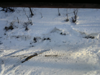 長野県菅平高原 ゆたか山荘 東側(坂下) 2026/03/02 07:00