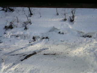 長野県菅平高原 ゆたか山荘 東側(坂下) 2026/03/02 07:15