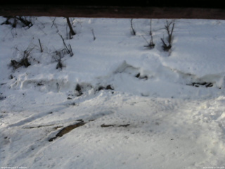 長野県菅平高原 ゆたか山荘 東側(坂下) 2026/03/02 07:30