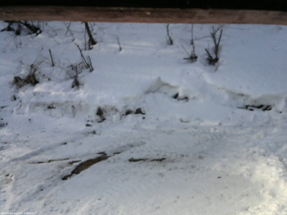 長野県菅平高原 ゆたか山荘 東側(坂下) 2026/03/02 07:45