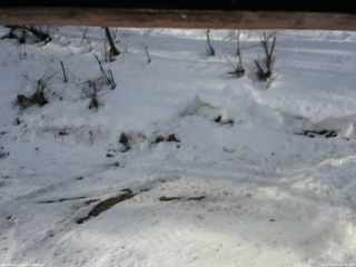 長野県菅平高原 ゆたか山荘 東側(坂下) 2026/03/02 08:00