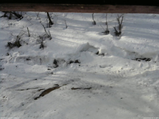 長野県菅平高原 ゆたか山荘 東側(坂下) 2026/03/02 08:15