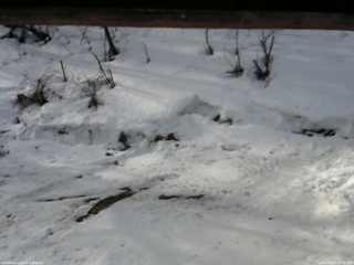 長野県菅平高原 ゆたか山荘 東側(坂下) 2026/03/02 08:30