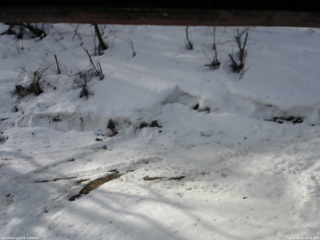 長野県菅平高原 ゆたか山荘 東側(坂下) 2026/03/02 08:45