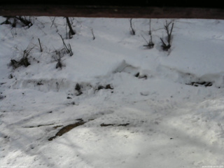 長野県菅平高原 ゆたか山荘 東側(坂下) 2026/03/02 09:00