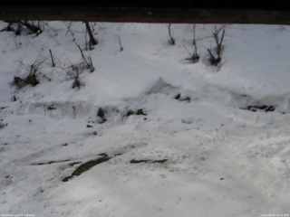 長野県菅平高原 ゆたか山荘 東側(坂下) 2026/03/02 09:15