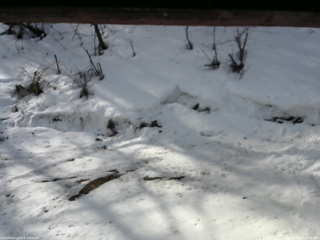 長野県菅平高原 ゆたか山荘 東側(坂下) 2026/03/02 09:30