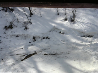 長野県菅平高原 ゆたか山荘 東側(坂下) 2026/03/02 10:00