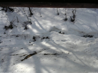 長野県菅平高原 ゆたか山荘 東側(坂下) 2026/03/02 10:15