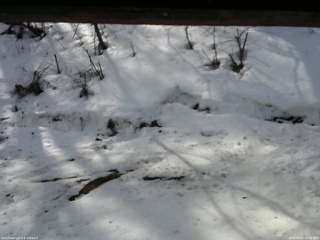 長野県菅平高原 ゆたか山荘 東側(坂下) 2026/03/02 10:30