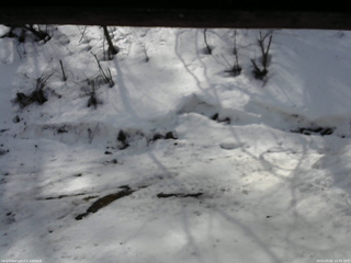 長野県菅平高原 ゆたか山荘 東側(坂下) 2026/03/02 10:45