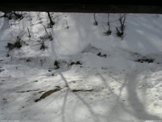 長野県菅平高原 ゆたか山荘 東側(坂下) 2026/03/02 11:00