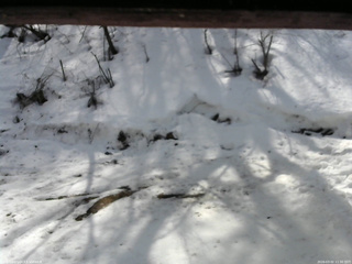 長野県菅平高原 ゆたか山荘 東側(坂下) 2026/03/02 11:30