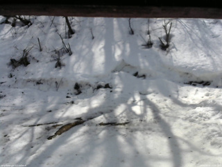 長野県菅平高原 ゆたか山荘 東側(坂下) 2026/03/02 11:45