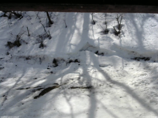 長野県菅平高原 ゆたか山荘 東側(坂下) 2026/03/02 12:00