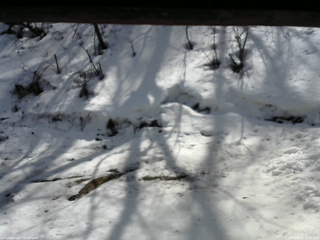 長野県菅平高原 ゆたか山荘 東側(坂下) 2026/03/02 12:15