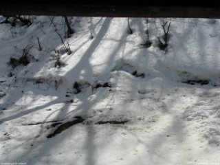 長野県菅平高原 ゆたか山荘 東側(坂下) 2026/03/02 12:30