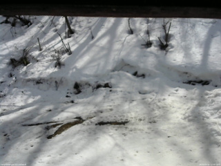 長野県菅平高原 ゆたか山荘 東側(坂下) 2026/03/02 12:45