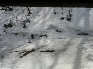 長野県菅平高原 ゆたか山荘 東側(坂下) 2026/03/02 13:00