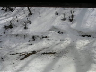 長野県菅平高原 ゆたか山荘 東側(坂下) 2026/03/02 13:15