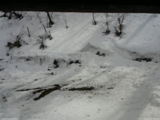 長野県菅平高原 ゆたか山荘 東側(坂下) 2026/03/02 13:45