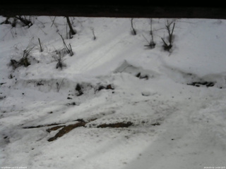 長野県菅平高原 ゆたか山荘 東側(坂下) 2026/03/02 14:00