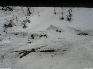 長野県菅平高原 ゆたか山荘 東側(坂下) 2026/03/02 14:15