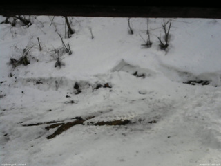 長野県菅平高原 ゆたか山荘 東側(坂下) 2026/03/02 14:30