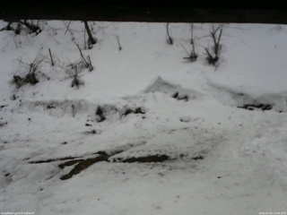 長野県菅平高原 ゆたか山荘 東側(坂下) 2026/03/02 14:45