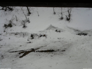 長野県菅平高原 ゆたか山荘 東側(坂下) 2026/03/02 15:00