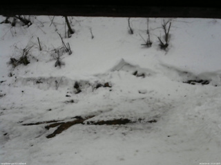 長野県菅平高原 ゆたか山荘 東側(坂下) 2026/03/02 15:15