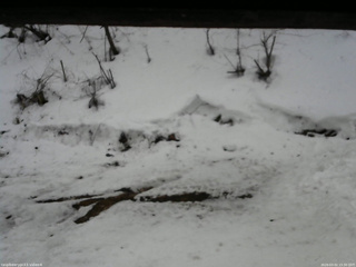 長野県菅平高原 ゆたか山荘 東側(坂下) 2026/03/02 15:30