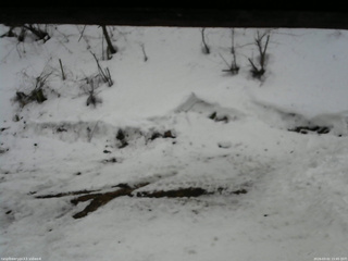 長野県菅平高原 ゆたか山荘 東側(坂下) 2026/03/02 15:45