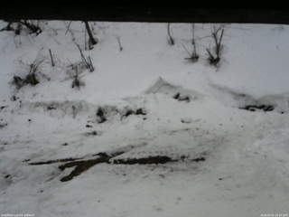 長野県菅平高原 ゆたか山荘 東側(坂下) 2026/03/02 16:15