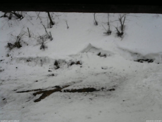 長野県菅平高原 ゆたか山荘 東側(坂下) 2026/03/02 16:30