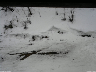 長野県菅平高原 ゆたか山荘 東側(坂下) 2026/03/02 16:45